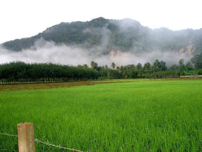 Naris Phuview Resort Satun Exteriör bild